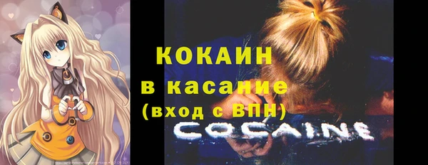 гашик Алексин