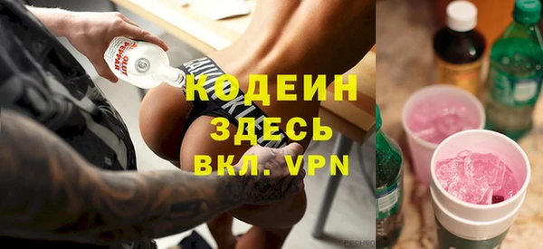 гашик Алексин