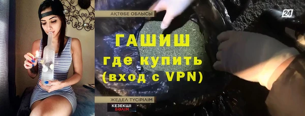 гашик Алексин