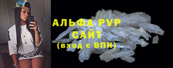 гашик Алексин