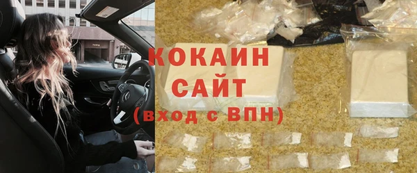 гашик Алексин
