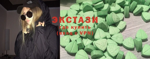 гашик Алексин