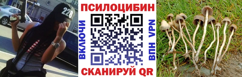 как найти наркотики  Алушта  Псилоцибиновые грибы мухоморы 